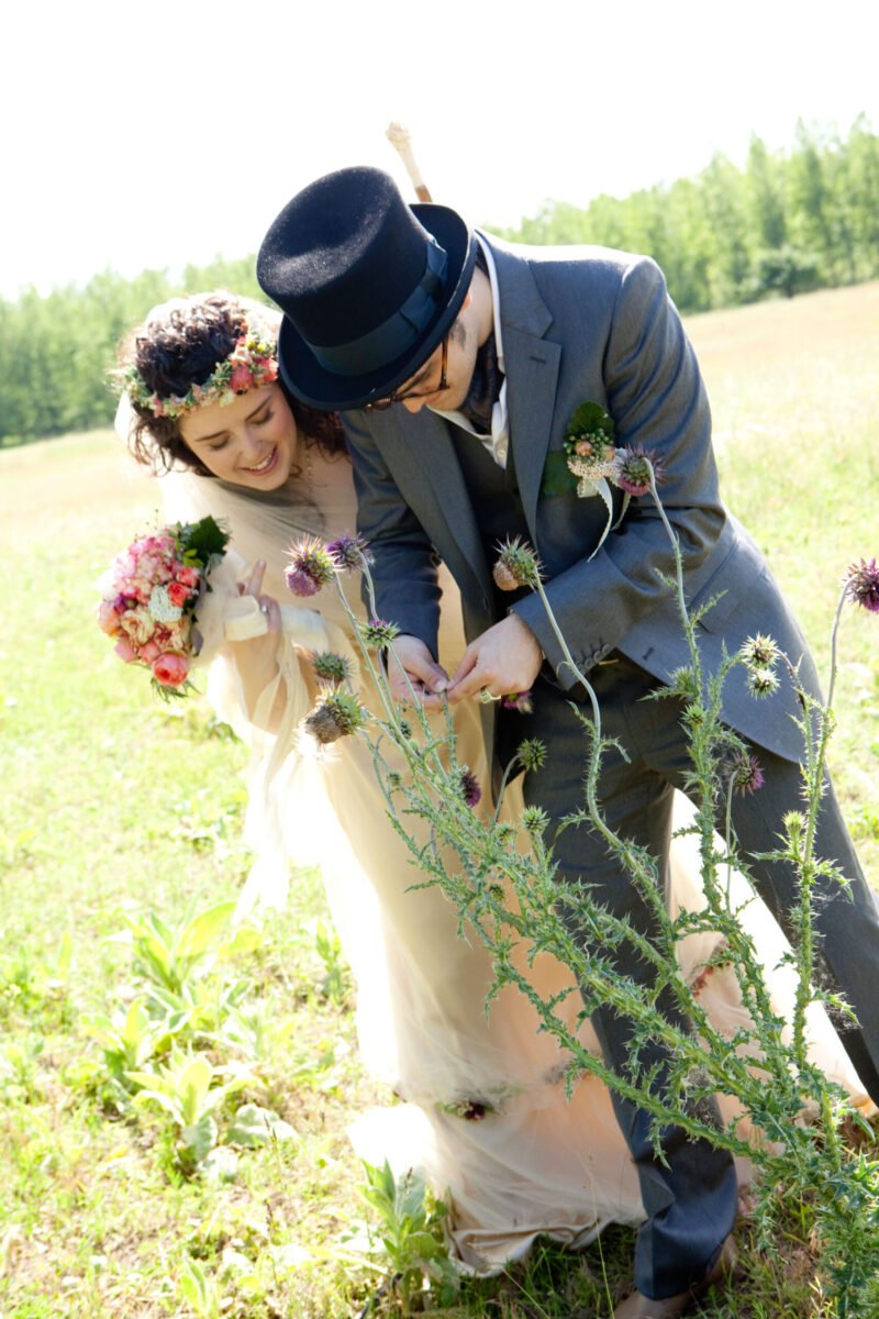 Vadvirágokkal, bogáncs és számos szúrós növény között